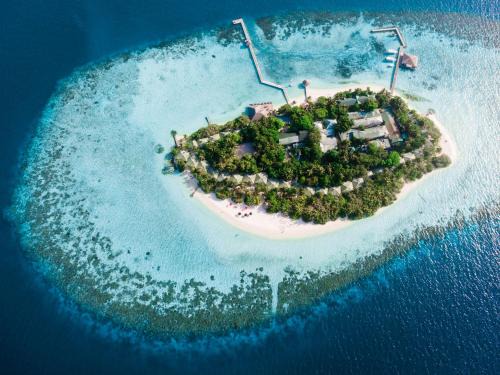 Vaavu Atoll Complejo | Eri Maldives - 50 percent off on roundtrip speedboat valid for stays till 25th December 2025