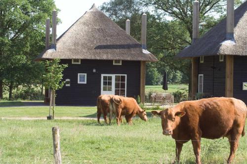 Municipality of Wierden Casa | Erve Woolderink