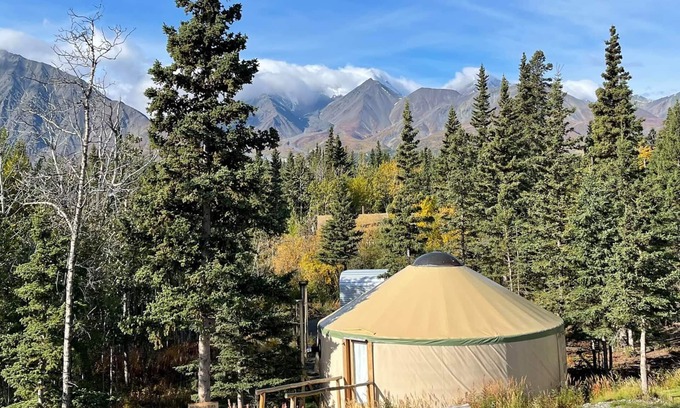 Haines Junction Cabina | Monte Martha Black Yurt