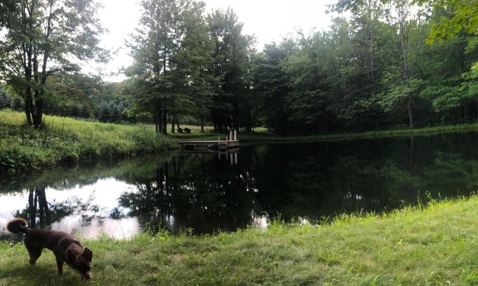 Andover Casa | Escape to a Private land locked hideaway great for hunting/fishing and family.