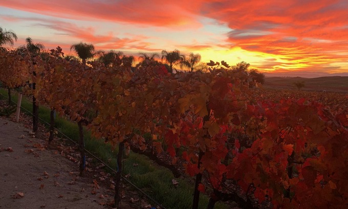 Temecula Apartamento | Escapada Boutique Winery
