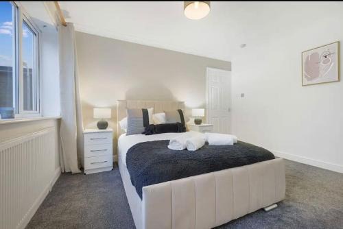 Middlesbrough Casa | Esher House
