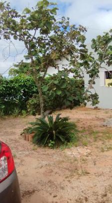 Cuiaba Casa | Espaço Moura