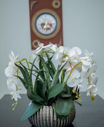 Iringa Apartamento | Essence House