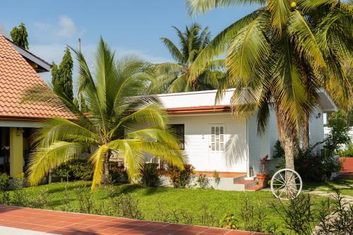 Tela Apartamento | Estancia Florencia Apart 2