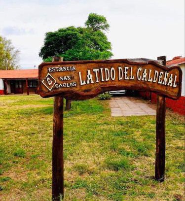 Luan Toro Apartamento | Estancia San Carlos