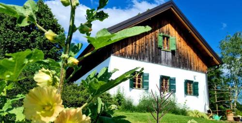 Majsperk Casa | Estate Ana
