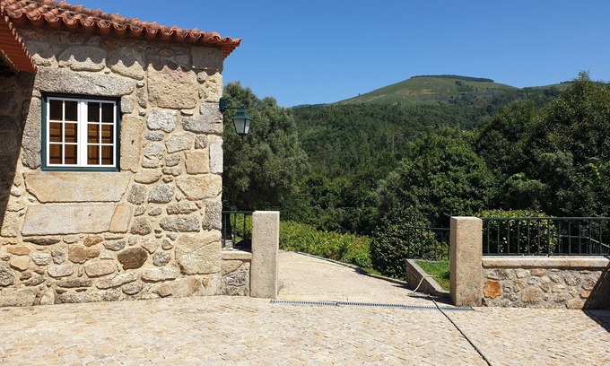 Bico Otro | Estate of Vinha Velha