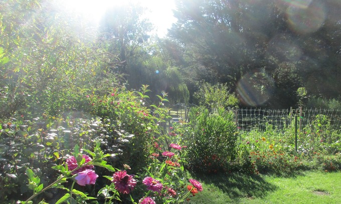 Neuvy-sur-Barangeon Cama Y Desayuno | Etape Sologne, flexible accommodation