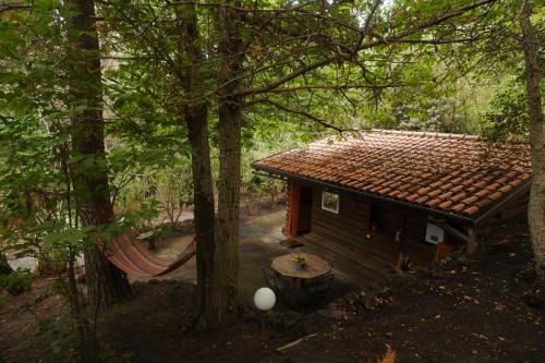 Pedara Chalet De Esquí | Etna Rural Cottage with Jacuzzi