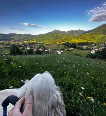 Mojkovac Casa | Etno Village "Pile"