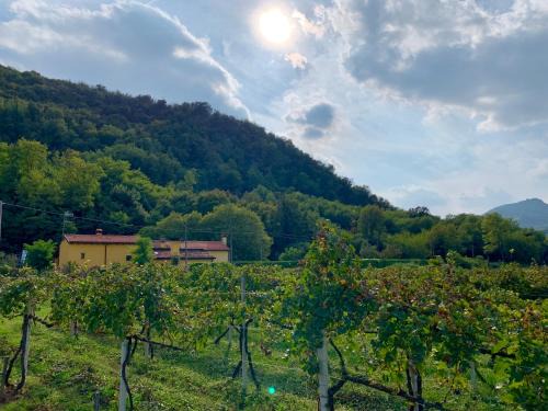 Torreglia Casa | Euganean Hills Natural Park: Casale Il Boschetto