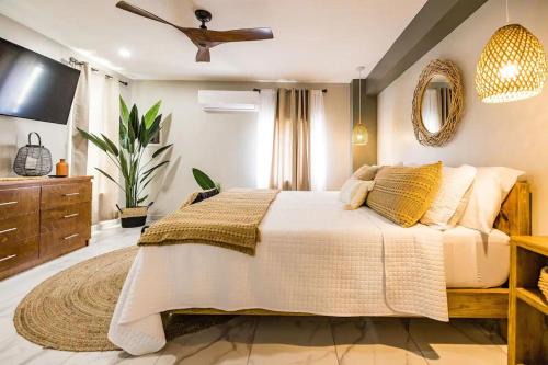 De Bruynewijk Apartamento | Eva Oceanfront Spa Resort Rooftop &pool By Lucha