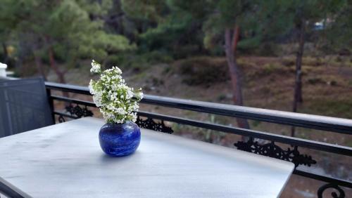 Ireon Apartamento | Evaggelia's Seaside Boutique Apartment