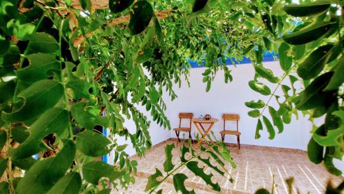 Milos Casa | Evaggelia Studio 2