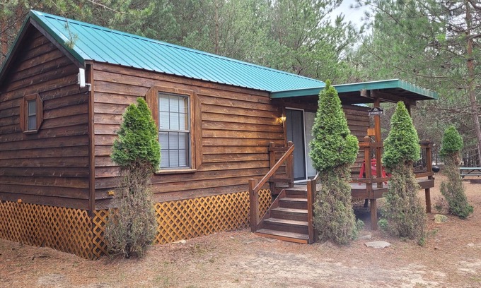 Thompsonville Cabina | Evergreen Cottage near Crystal Mtn