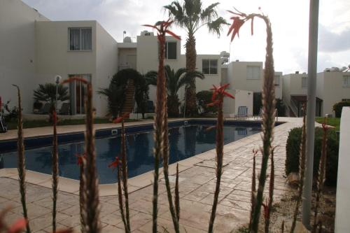 Peyia Town Apartamento | Evros Peyia & Coral Bay Seaview Apartment
