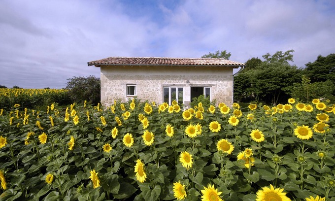Birac-sur-Trec Cabaña | Sitio excepcional para los amantes del campo, la naturaleza, la calma, la paz.