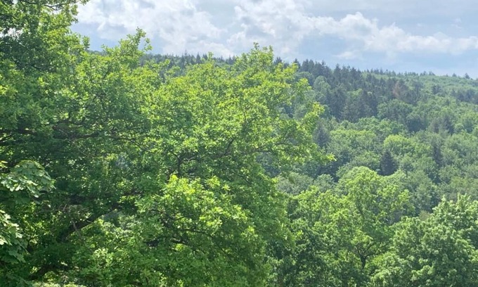Pforzheim Condominio | Exclusive apartment with stunning views of the Black Forest