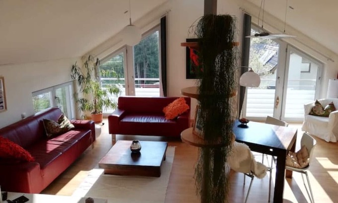 Passau Apartamento | Exclusive holiday apartment (70 sqm), flooded with light with WiFi
