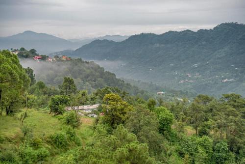 Dharampur Apartamento | Exotic Stays I The Mountain Peak I Guaranteed Best Price I Vacations I Family Events I Pet friendly & Serviced Apts I Kasauli