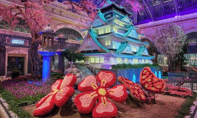 Las Vegas Hotel | Experience the world-famous Las Vegas Strip! W/ Pool, Parking Access!