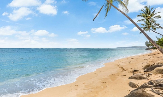 Waialua Condominio | Exquisite Mokuleia Beachside Cottage