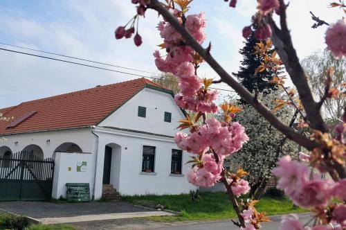 Mihalyfa Casa | Fűszeres Porta