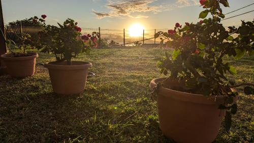 Faaa Casa | Faaa Airport Lodge - Fare Mahana