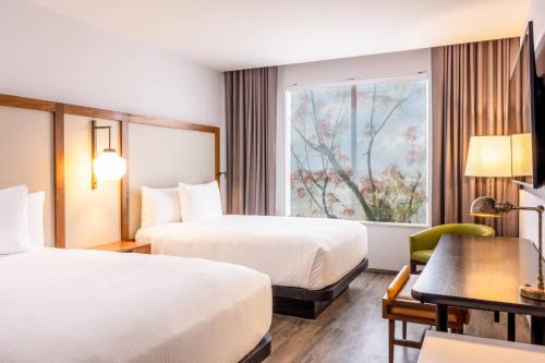 Centro de Cancún Hotel | Fairfield by Marriott Inn & Suites Cancun Downtown