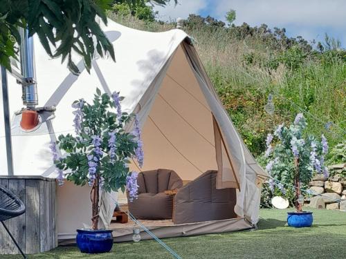 Carlingford Otro | Fairy Fort at Rosemount Glamping