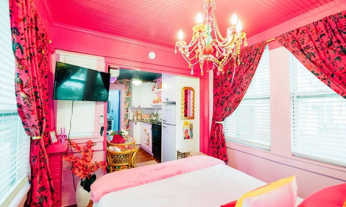 Historic Old Northeast Apartamento | Fall Deals The Twisted Tulip, a curious stay