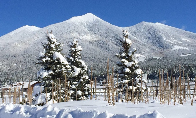 Flagstaff Casa | Reagruparse, relajarse y descansar en la base de Snowbowl