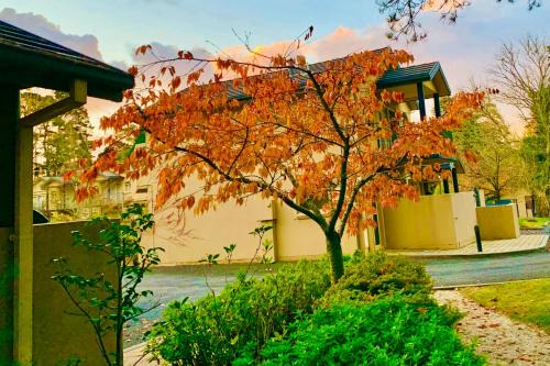 Wentworth Falls Apartamento | Falls Mountain Retreat Blue Mountains