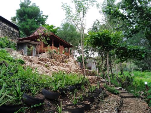 Wonosari Casa | Fam Sugiono Cottage - Wooden House