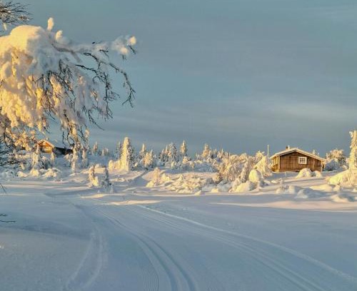 Sor-Aurdal Casa | Familiehytte Med Bålplass På Søndre Fjellstølen