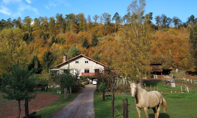 Soucht Cabaña | espaciosa casa de la familia y en el país de bosques senderismo ideal de Bitche
