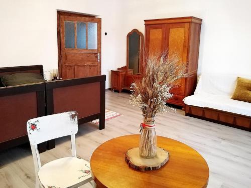 Zadiel Apartamento | Family Apartman Szádelő - Zádiel