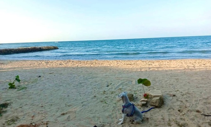 San Antero Apartamento | Cabaña familiar en coveñas a 100 metros de la playa