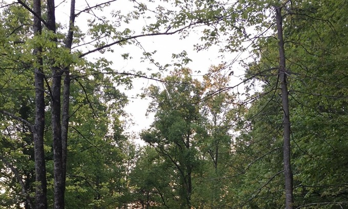 Brevard Alquiler De RV | Family Camp at Pucker Up Berry Farm