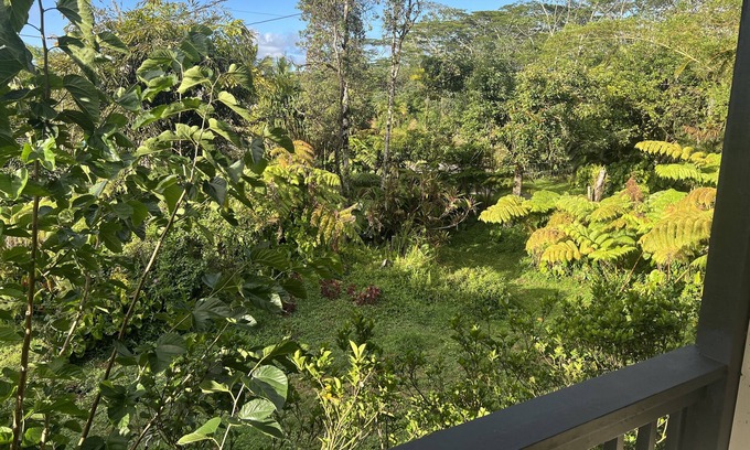 Keaau Casa | Family friendly, centrally located 2lvl home with epic furniture and fruit trees