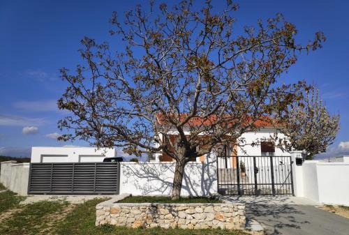 Velim Casa | Family friendly house with a swimming pool Bulic, Zagora - 18943