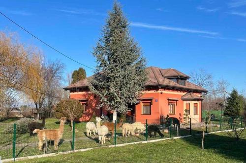 Andrijasevci Casa | Family friendly house with a parking space Andrijasevci, Slavonija - 24939