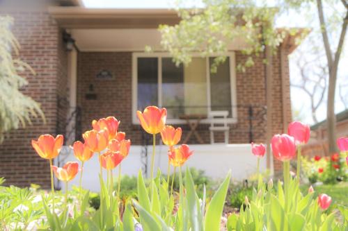 Cory Casa | Family-Friendly Mid-century Modern Retreat