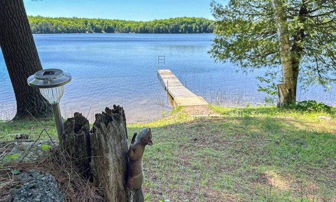 Minden Hills Cabaña | Family friendly retro cottage with huge waterfront