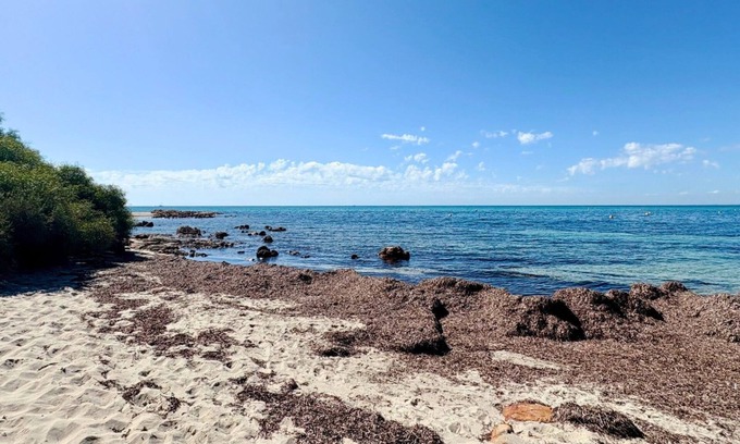 Broadwater Casa | Family Getaway - Cabin 50: Your Ideal Retreat for Comfort and Nature