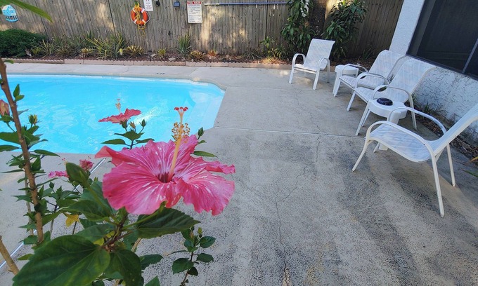 Lake Magdalene Casa | Family Getaway - spacious & near Busch Gardens/USF with Private 1bedroom suite