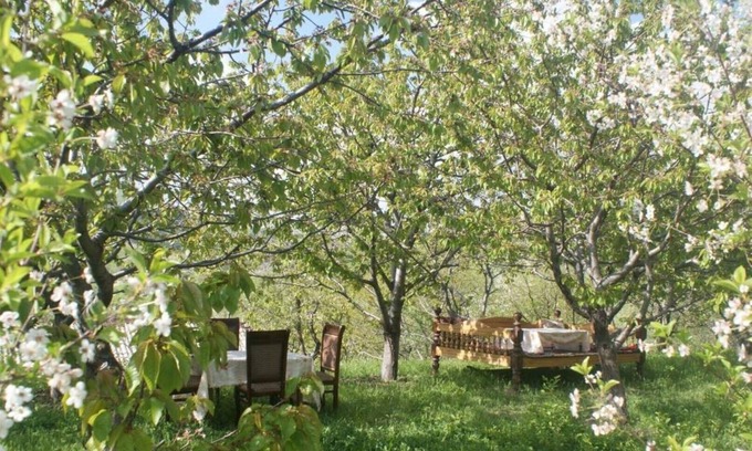 Urgut Cama Y Desayuno | Casa de huéspedes familiar La primavera Бахор