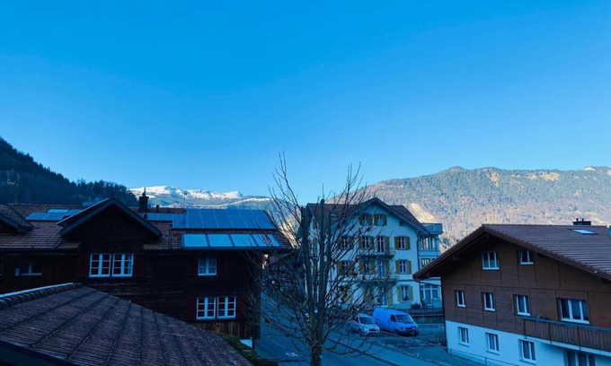 Wilderswil Apartamento | Family Home - 30