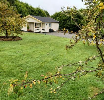 Letterkenny Casa | Family Log Cabin